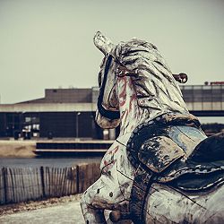 Wild Horse photography